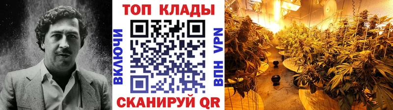 Купить наркотики цена Кедровый ГАШ  Кокаин  A PVP  Каннабис  Мефедрон 