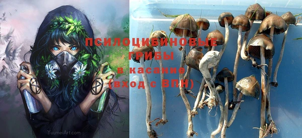 кристаллы Ладушкин